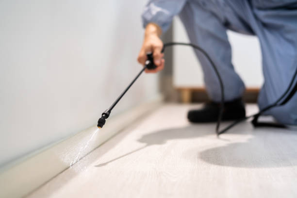 Licensed Pest Control service in Springfield, OR - Nex Pest Control