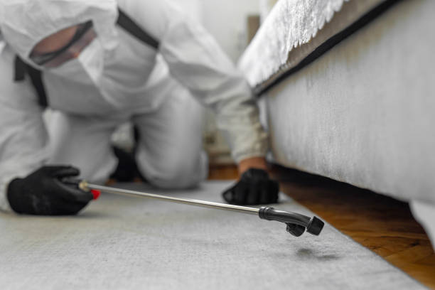 Professional Pest Control technician working in Springfield, OR