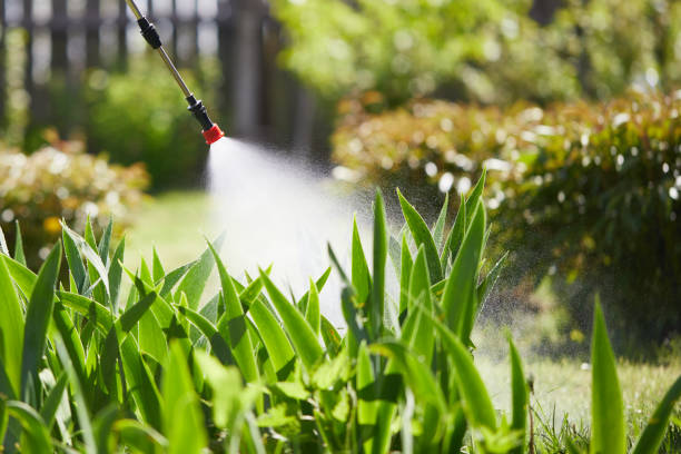 24/7 Emergency Pest Control experts in Springfield, OR
