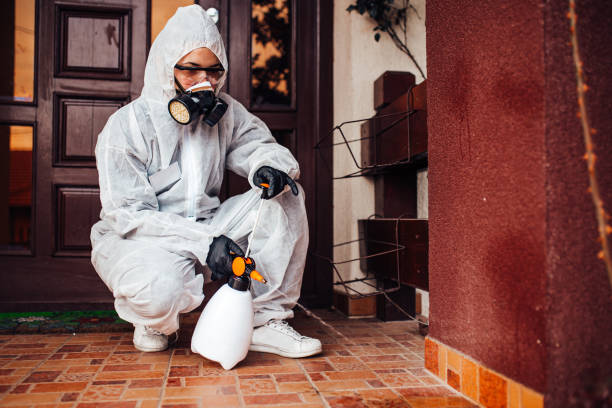 Reliable Pest Control contractor in Springfield, OR by Nex Pest Control