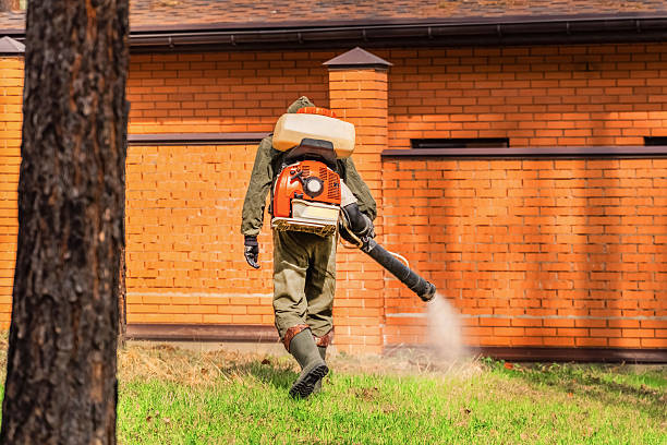 Top rated local Pest Control specialists in Springfield, OR